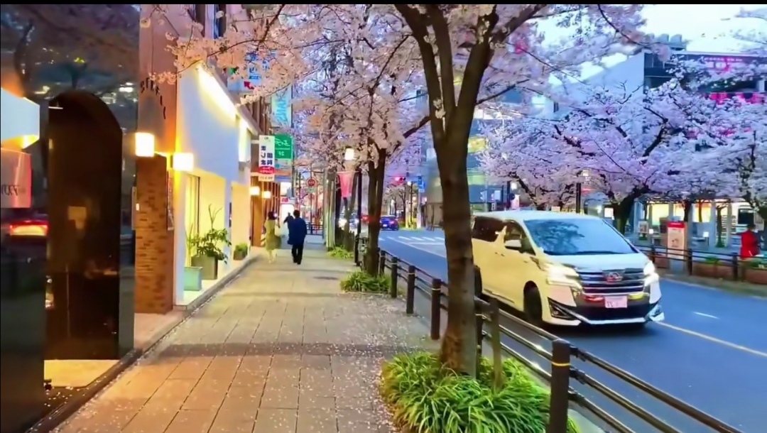 美女图片微信头像背影_美女图片微信头像背影酷霸气