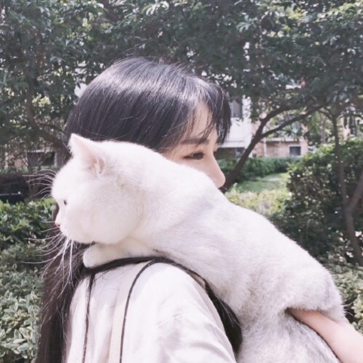 美女照片头像霸气_美女壁纸手机壁纸