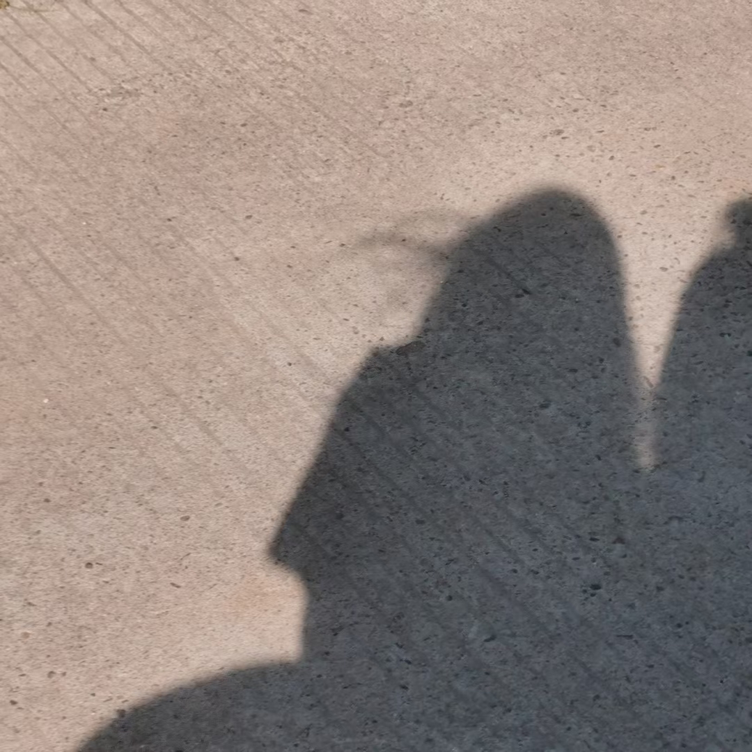 美女壁纸_美女壁纸4k高清唯美
