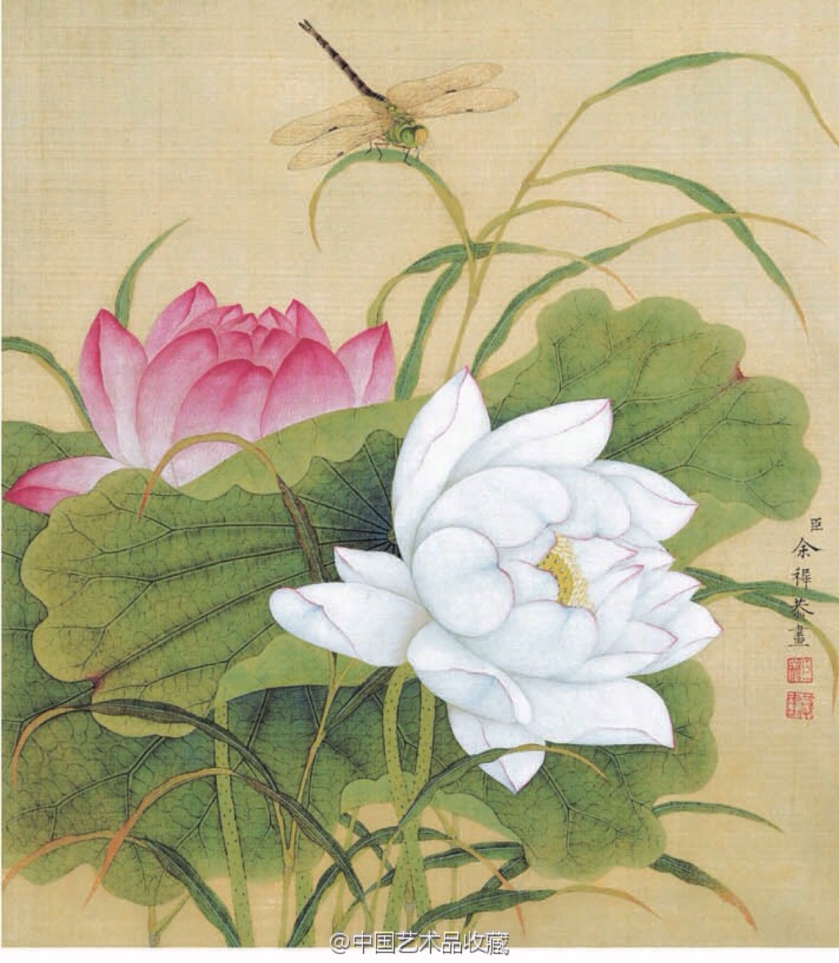 美女照片。_美女热舞